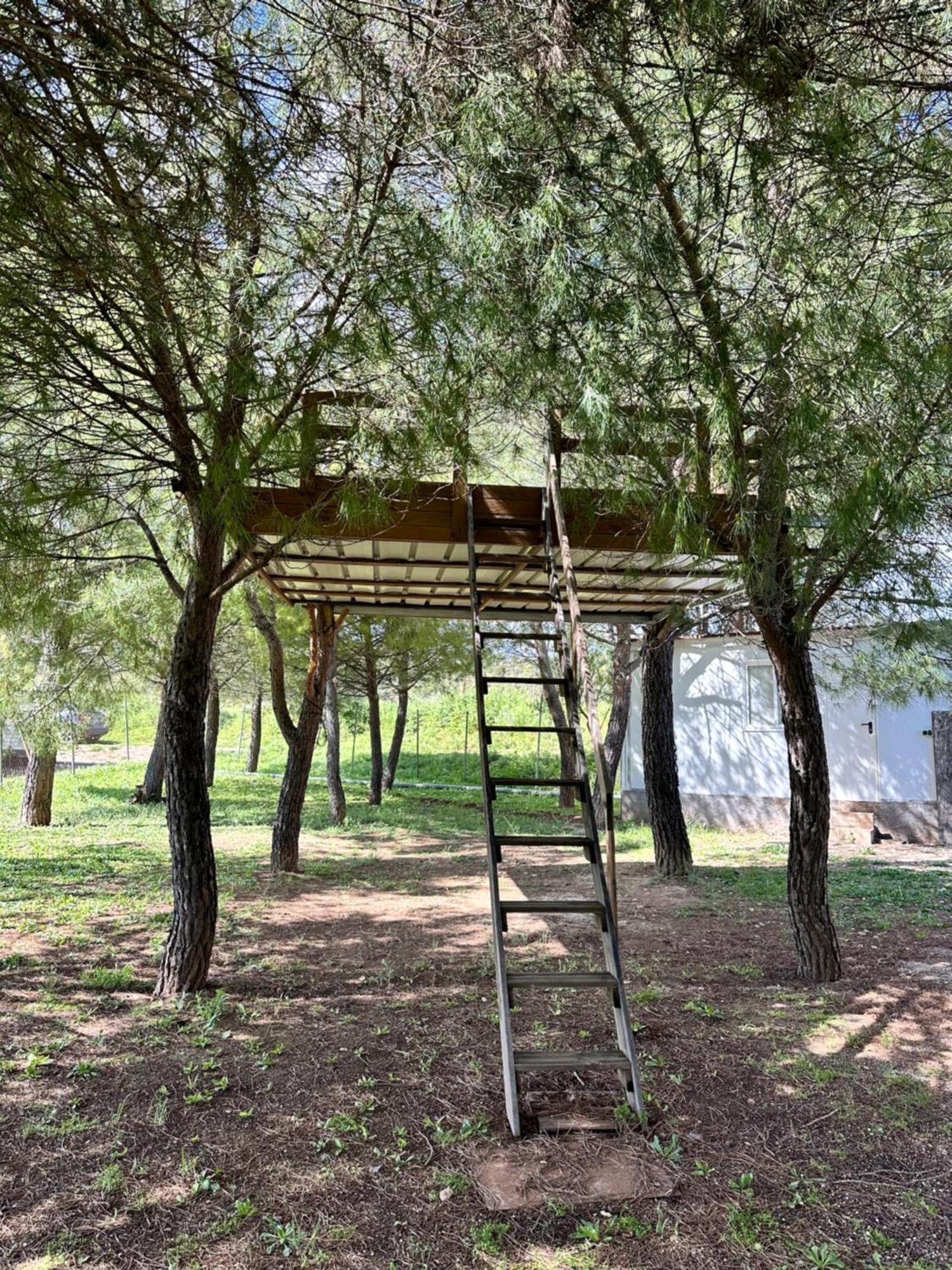 Bungalow Bambolera Torrelaguna Luaran gambar